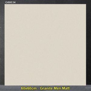 Gạch 60x60 Taicera G68034