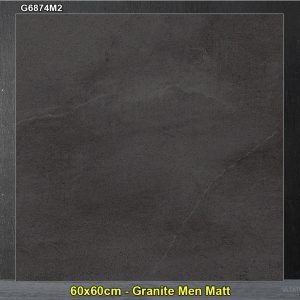 Gạch 60x60 Taicera G6874M2