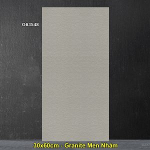 Gạch 30x60 Taicera G63548