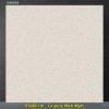 Gạch 60x60 Taicera G68005