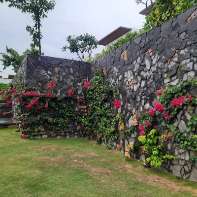 Alternative view of Đá chẻ bao xanh - Đá rối ốp tường