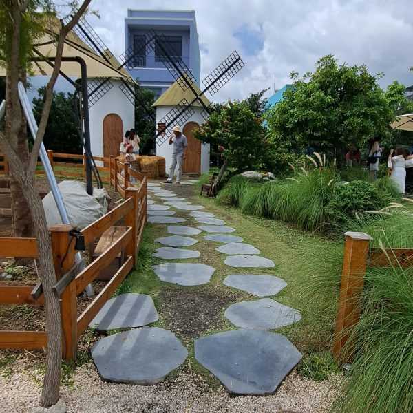 Đá thớt bazzan - Đá bước dạo - Ảnh 5