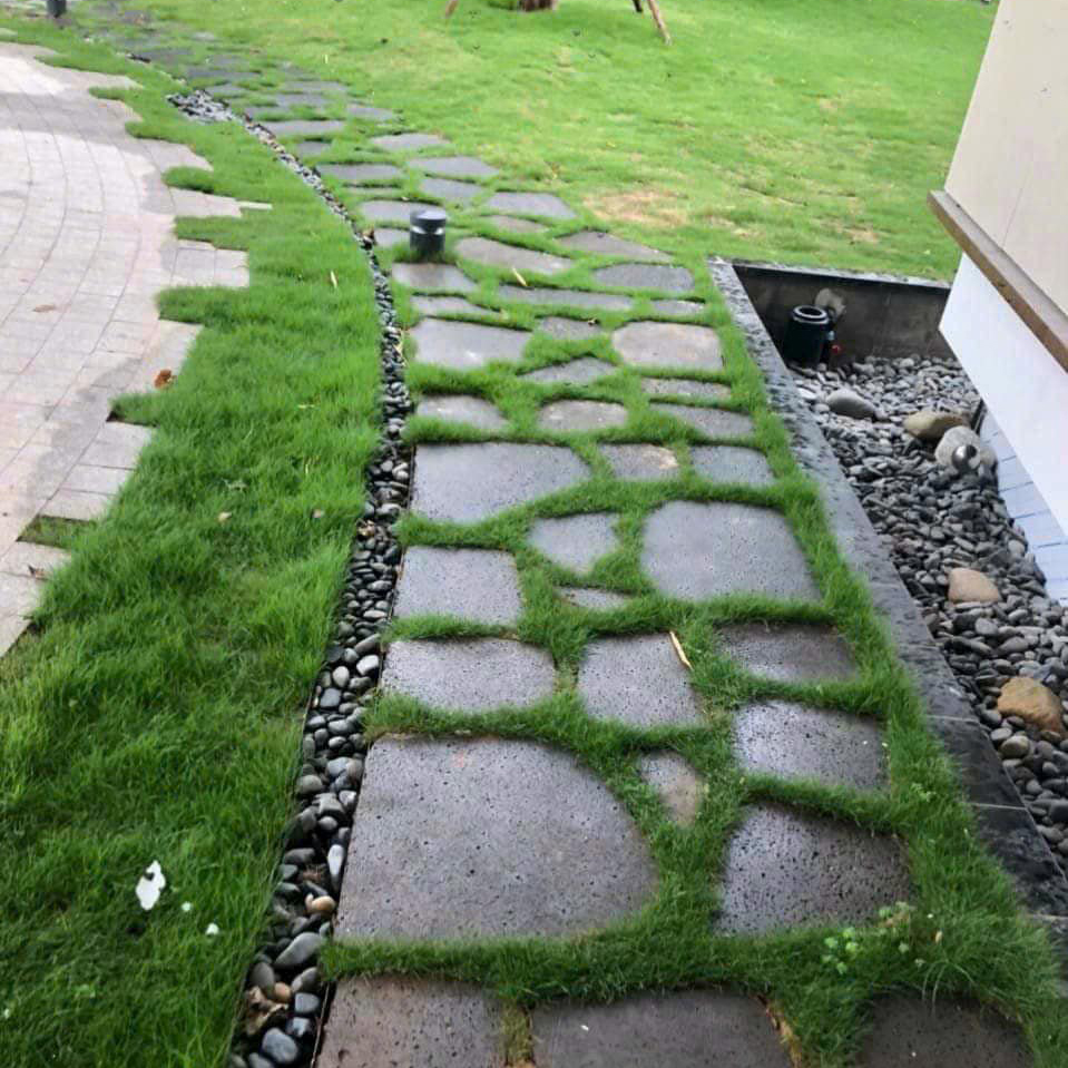 Đá Bước Dạo Sân Vườn – Giải Pháp Trang Trí Sân Vườn Bền & Đẹp