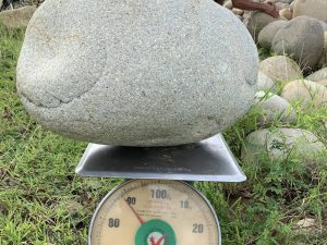 Alternative view of Đá cuội size 10-60cm