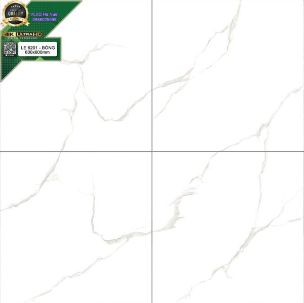 Gạch LE 6201 VT Porcelain