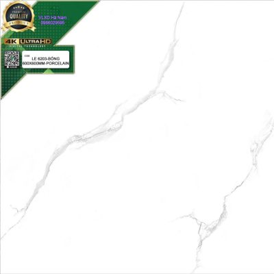 Gạch LE 6203 VT Porcelain