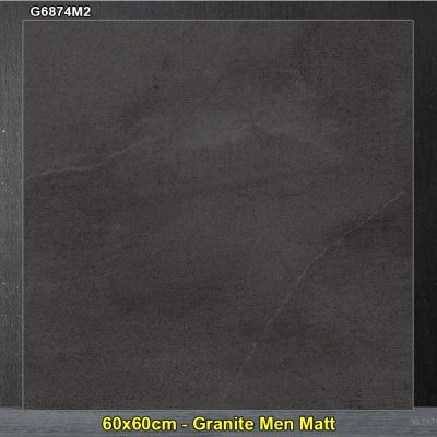 Gạch 60x60 Taicera G6874M2