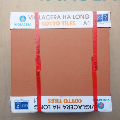 Gạch Cotto Hạ Long Viglacera A1 30x30cm
