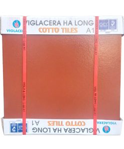 Gạch tàu Hạ Long tráng men 40x40cm