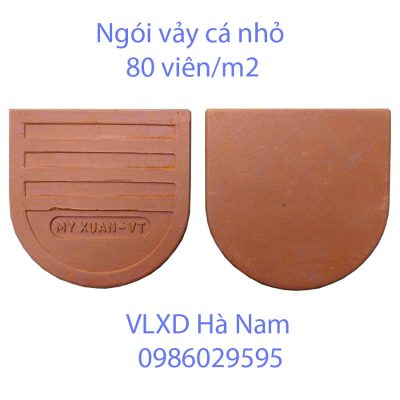 Alternative view of Ngói vảy cá nhỏ Mỹ Xuân