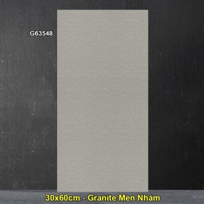Gạch 30x60 Taicera G63548