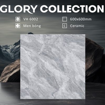 Alternative view of Gạch VH6002