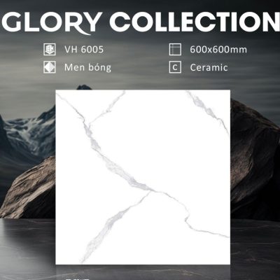 Alternative view of Gạch VH6005