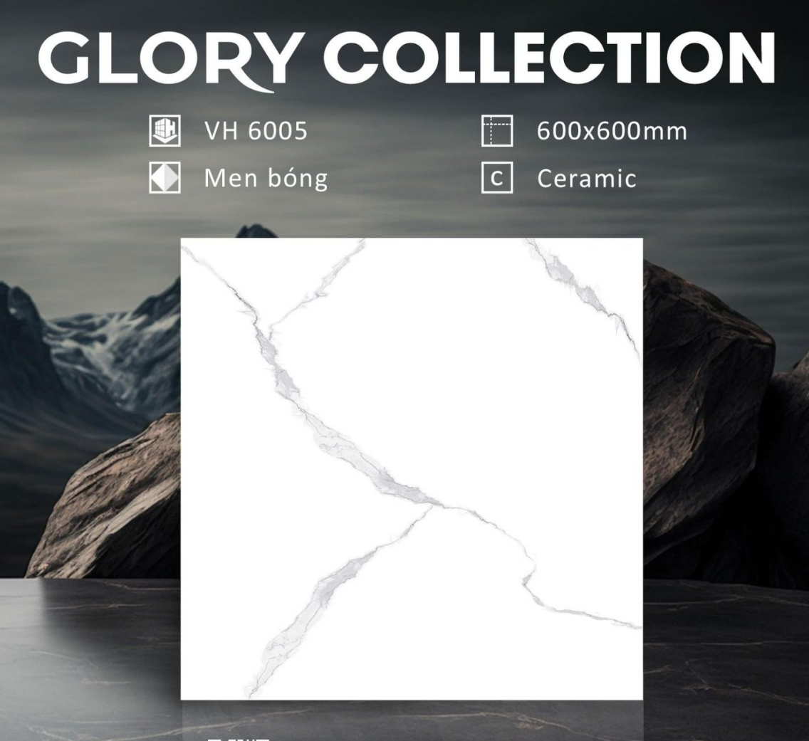 Gạch VH6005 - Ảnh 2