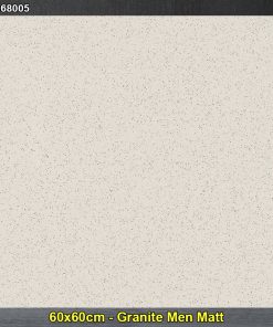 Gạch 60x60 Taicera G68005