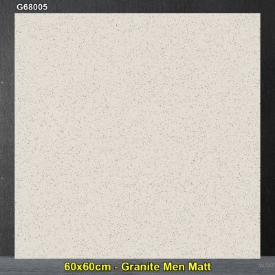 Gạch 60x60 Taicera G68005