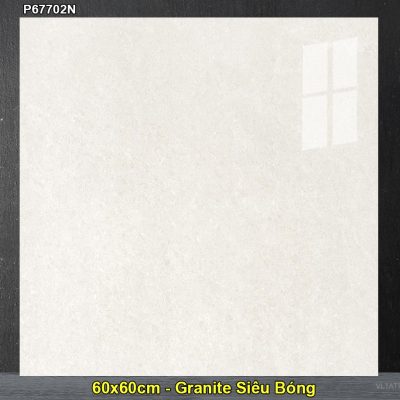 Gạch 60x60 Taicera P67702N