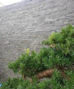 Alternative view of Đá ghép đen Đà Nẵng 10x50cm