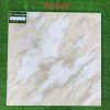 Gạch Thanh Long TS80x80 - 8335