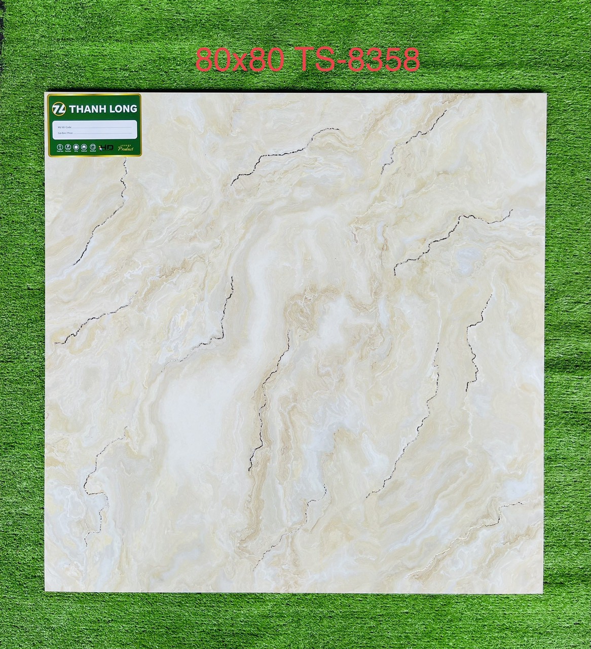 Gạch Thanh Long TS80x80 - 8358