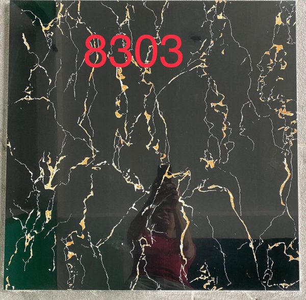 Gạch Thanh Long TS80x80 - 8303