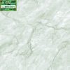 Gạch Thanh Long BD80x80 - 35601
