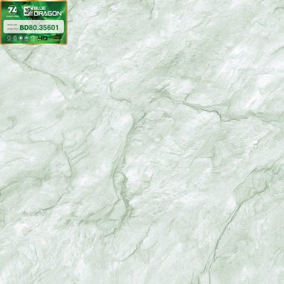 Gạch Thanh Long BD80x80 - 35601